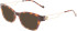 Liu Jo LJ2764R sunglasses in Tortoise