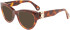 Lanvin LNV2626 sunglasses in Havana