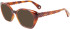 Lanvin LNV2624 sunglasses in Havana