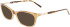 Lacoste L2900 sunglasses in Transparent Brown