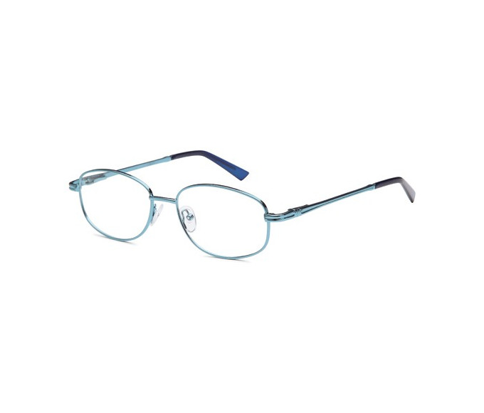 SFE reading glasses in Blue