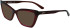 Karl Lagerfeld KL6063 sunglasses in Burgundy Trilayer