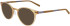Flexon FLEXON EP8006 sunglasses in Camel