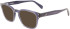 Ferragamo SF2925 sunglasses in Crystal Navy