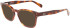 Ferragamo SF2925 sunglasses in Tortoise