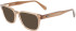 Ferragamo SF2924 sunglasses in Transparent Brown