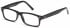 SFE reading glasses in Black