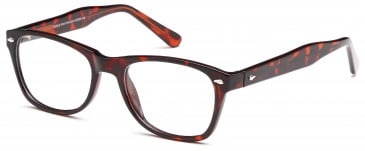 SFE Plastic Ready-Made Reading Glasses