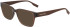 Converse CV5017 sunglasses in Crystal Dark Root