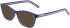 Converse CV5014 sunglasses in Crystal Court Purple