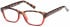 SFE reading glasses in Brown/Red