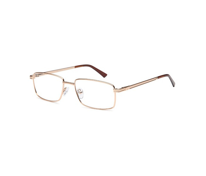 SFE reading glasses in Gold