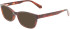 Calvin Klein Jeans CKJ22622 sunglasses in Tortoise