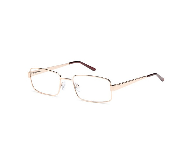 SFE reading glasses in Gold