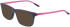 NIKE OPTICAL NIKE 5541-48 sunglasses in Matte Cave Purple
