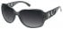 SFE Sunglasses in Grey