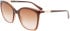 Longchamp LO710S sunglasses in Gradient Brown Rose
