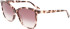Longchamp LO708S sunglasses in Rose Havana