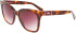 Longchamp LO696S sunglasses in Havana