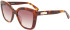 Longchamp LO692S sunglasses in Havana