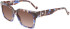 Liu Jo LJ759S sunglasses in Blue Tortoise