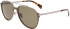 Lanvin LNV117S sunglasses in Brown