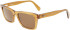 Ferragamo SF1039S sunglasses in Transparent Caramel