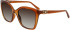 Ferragamo SF1026S sunglasses in Crystal Caramel
