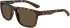 Dragon DR REED XL LL sunglasses in Matte Tortoise/Brown