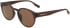 Converse CV509S MALDEN sunglasses in Crystal Dark Root