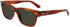 Calvin Klein CK21528S sunglasses in Blonde Havana