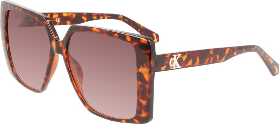 Calvin Klein Jeans CKJ22607S sunglasses in Tortoise