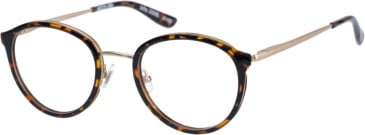 Superdry SDO-2008 glasses in Tortoise Gold