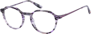 Superdry SDO-2003 glasses in Purple Horn