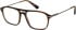 Savile Row SRO-019 glasses in Tortoise Gold