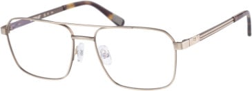 Caterpillar (CAT) CTO-3008 glasses in Matt Gold Brown