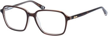 Superdry SDO-NADARE glasses in Brown Coral