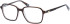 Superdry SDO-NADARE glasses in Brown Coral