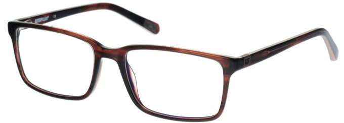 CAT CTO-GRANITE glasses in Gloss Brown/Brown Horn