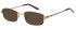 SFE sunglasses in Brown