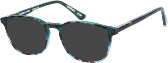 Superdry SDO-BRETTON sunglasses in Teal Tortoise