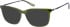 Superdry SDO-2005 sunglasses in Olive Black