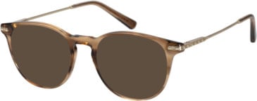 Savile Row SRO-029 sunglasses in Tortoise Gold