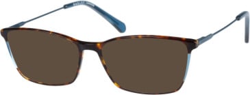 Radley RDO-SUZE sunglasses in Tortoise Teal