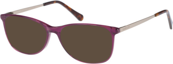 Radley RDO-NOYA sunglasses in Burgundy Tortoise
