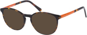 Radley RDO-6004 sunglasses in Tortoise Orange
