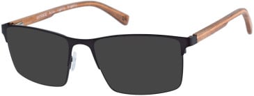 Botaniq BIO-1018 sunglasses in Matt Gunmetal Wood