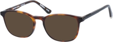 Superdry SDO-BRETTON sunglasses in Tortoise Black