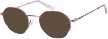 Superdry SDO-2012 sunglasses in Oxblood