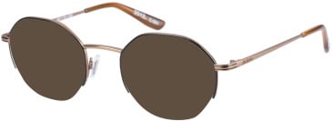 Superdry SDO-2012 sunglasses in Gold Black